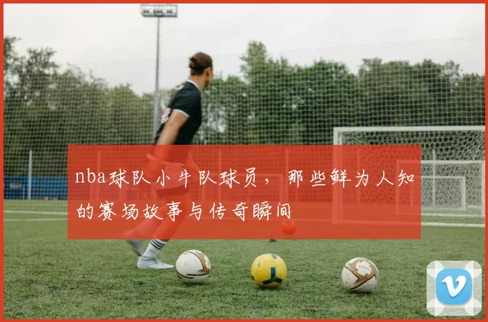 nba球队小牛队球员，那些鲜为人知的赛场故事与传奇瞬间