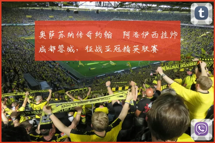 奥萨苏纳传奇约翰・阿洛伊西挂帅成都蓉城，征战亚冠精英联赛