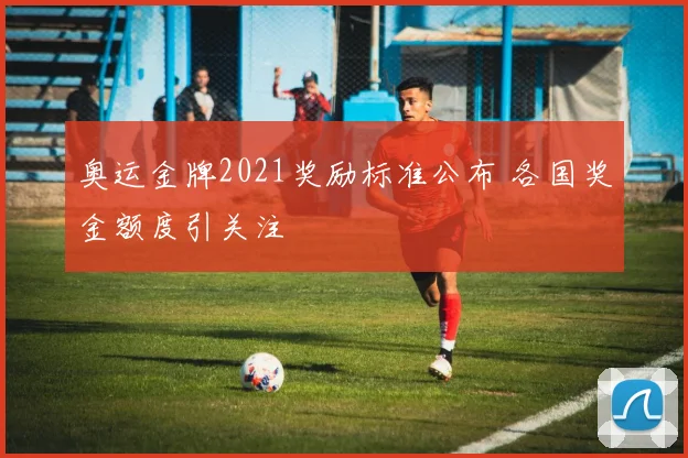 奥运金牌2021奖励标准公布 各国奖金额度引关注